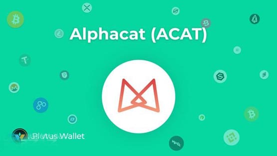 ACAT幣怎麼樣？ACAT幣值得投資嗎？