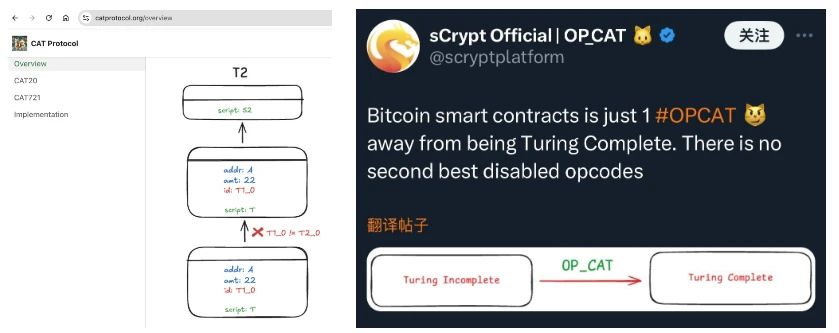 CAT Protocol值得投资吗？详解CAT代币爆火原因代打网站及参与成本