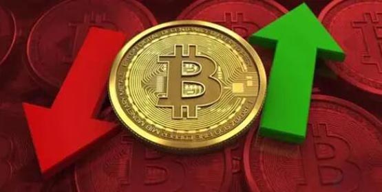 1060萬枚BTC超兩年未轉移 Tether團隊背景被質疑