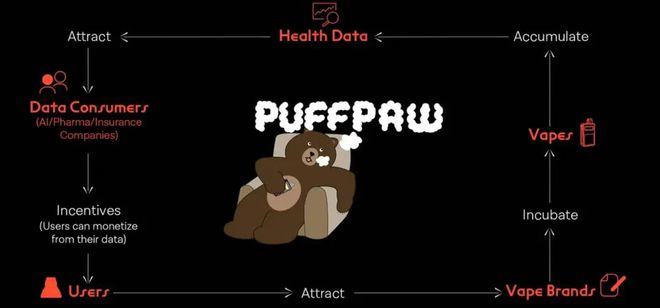 PuffPaw是什麼？代幣經濟學如何運作？未來前景如何？