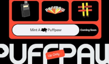 PuffPaw是什麼？代幣經濟學如何運作？未來前景如何？