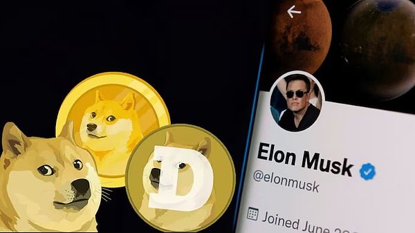 2024年最值得投資的100倍的Meme幣？模因幣的未來展望