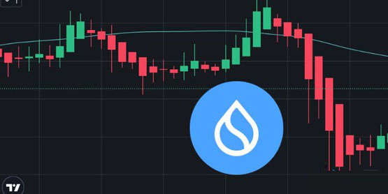 傳Sui開始倒貨、比特幣拉漲期間逆勢下跌！基金會：沒有拋售