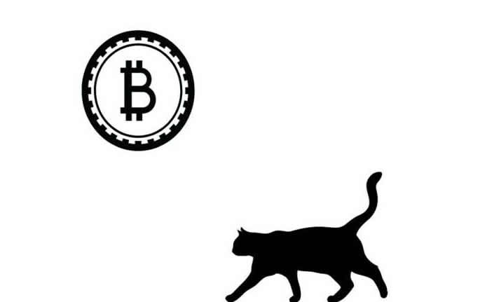 BitWalk是什麼？走路就賺比特幣？BitWalk註冊、使用、轉幣教學