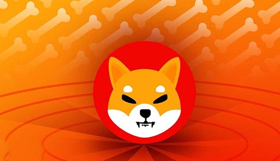 柴犬幣2024年會漲到多少錢一枚？