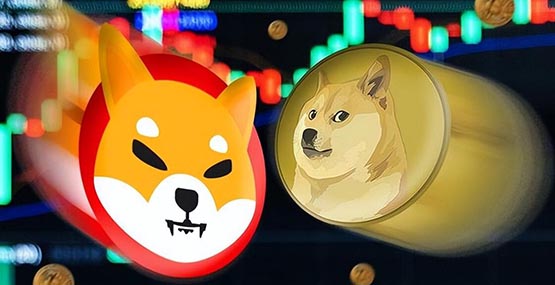 柴犬幣2024年會漲到多少錢一枚？