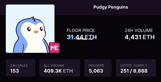 胖企鵝NFT創新高！社群瘋喊代幣PENGU空投至少3萬美元