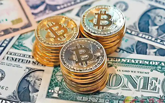 Bitwise：企業購買比特幣 一個被忽視的大趨勢