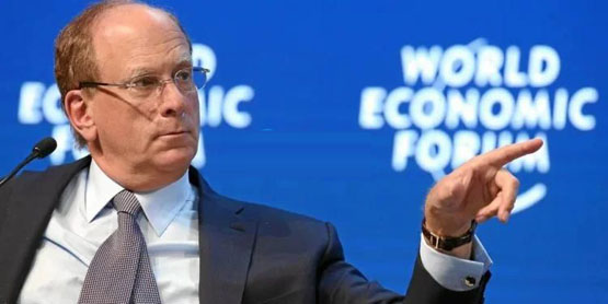 貝萊德CEO Larry Fink：比特幣是對抗貨幣貶值和不穩定性的避險資產