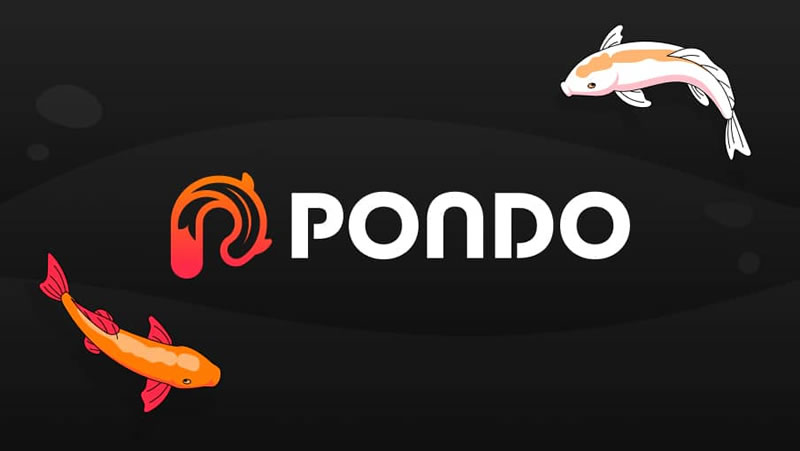 PDNO幣是什麼？Aleo區塊鏈的革命性流動質押協議