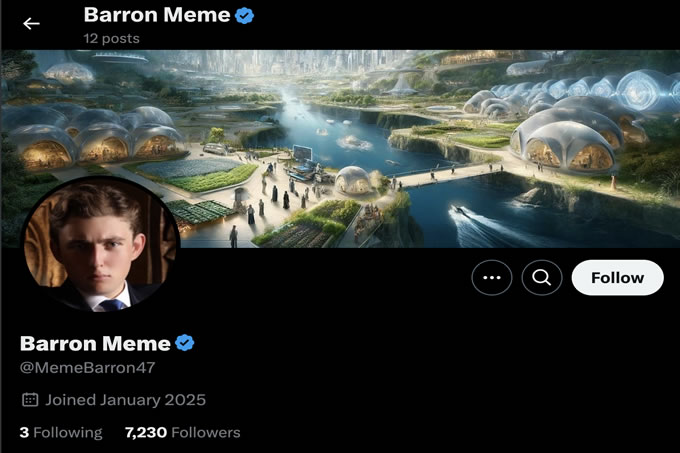 特朗 普全系列 MEME 幣匯總：$TRUMP、$MELANIA、$MAGA