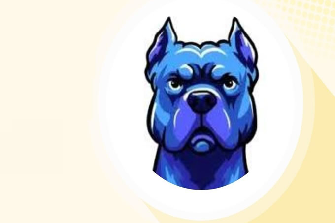 DOGINME ($DOGINME) 價格飆升： 為什麼下一步可能是修正