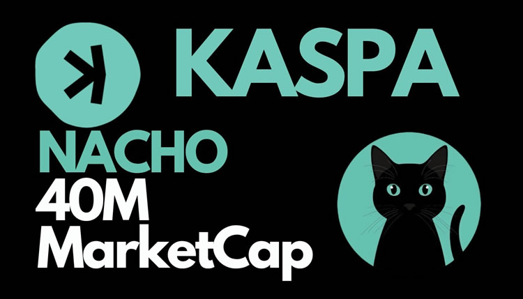 Nacho the Kat(NACHO)幣是什麼？NACHO幣值得投資嗎？
