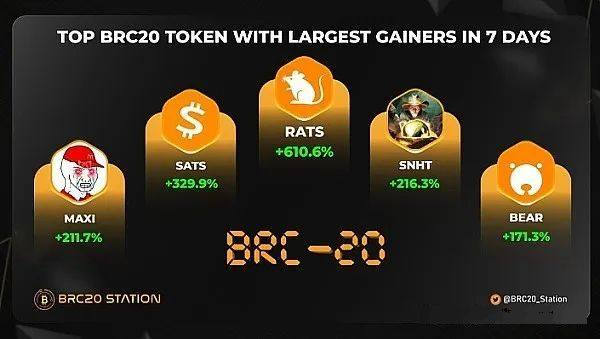 揭秘潛力幣種RATS：未來前景與潛力