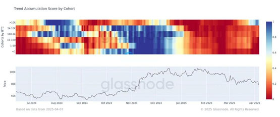 Glassnode數據：巨鯨在不斷買入比特幣！較小投資群才在賣BTC