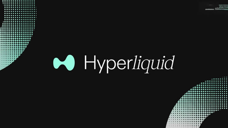Hyperliquid(HYPE)幣長期價值基本面分析