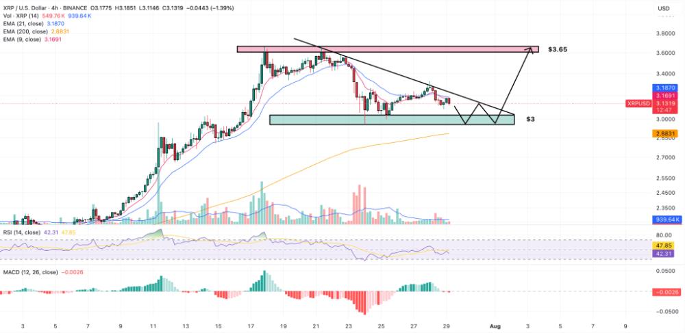 XRP幣持有者將獲得史上最大空投(12 億$NIGHT),如何領取?有什麼影響?